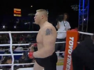 brock lesnar in the ufc